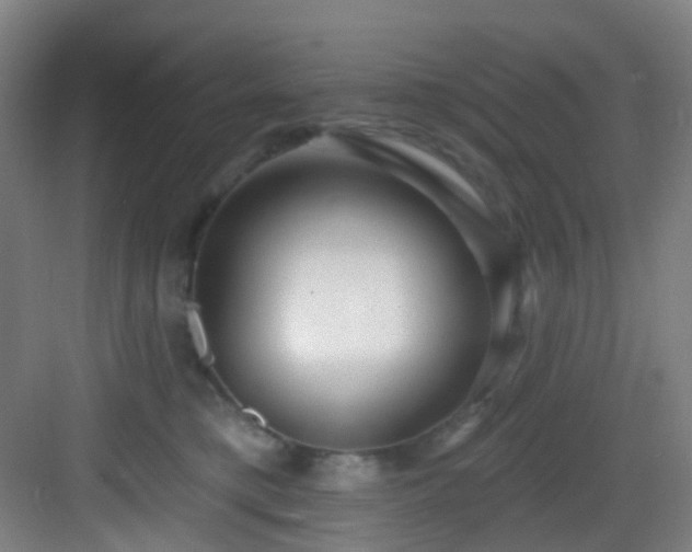 X0000082930421200702081546