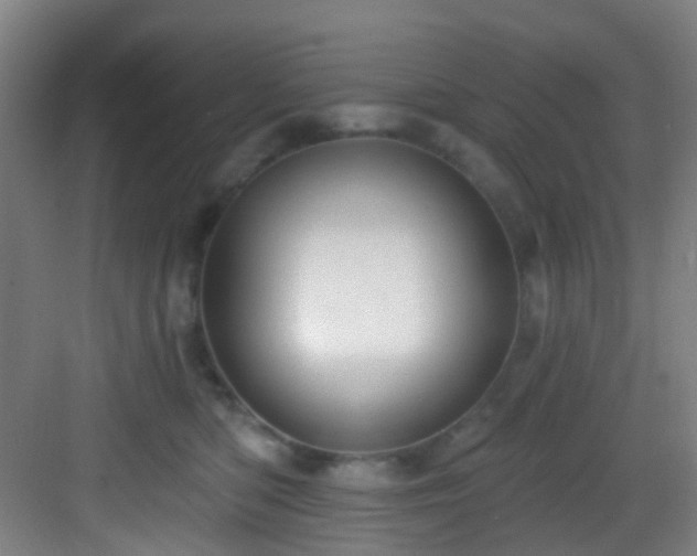 X0000082930422200702081546