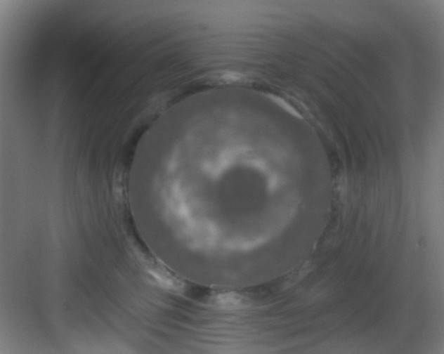 X0000082930423200702081546