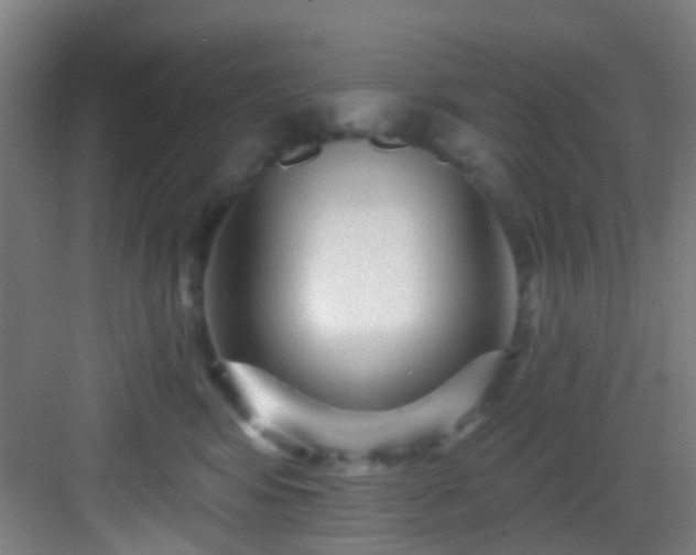 X0000082930424200702081546