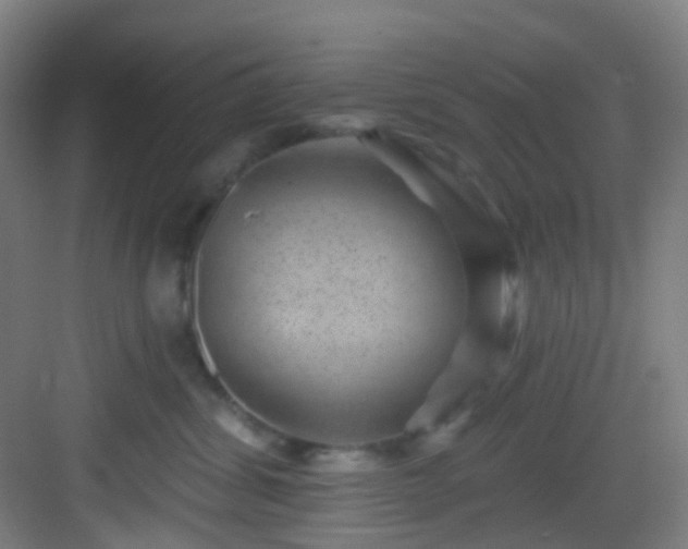 X0000082930428200702081546