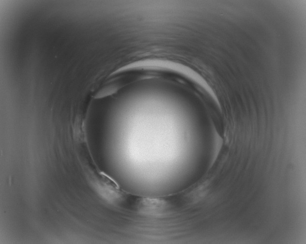 X0000082930429200702081546