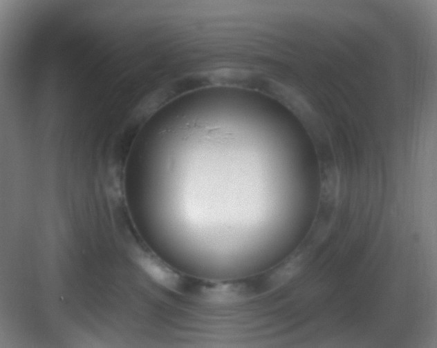 X0000082930430200702081546