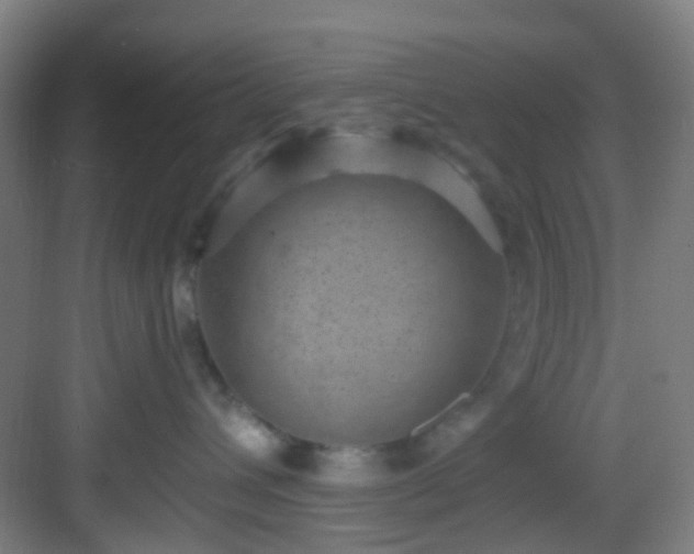 X0000082930432200702081546