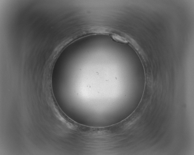 X0000082930433200702081545