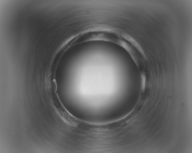 X0000082930436200702081545