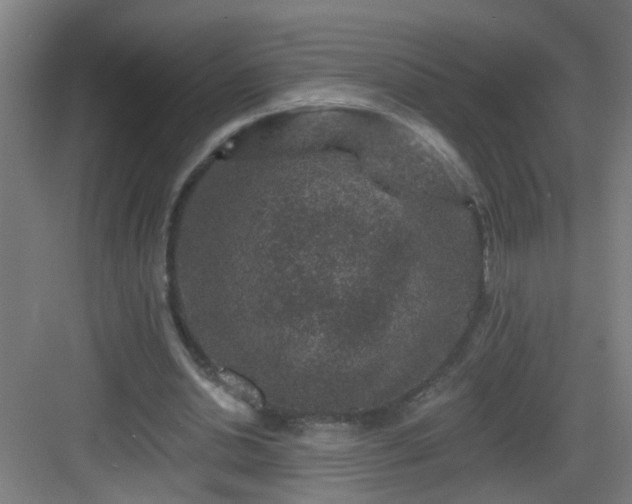 X0000082930438200702081545