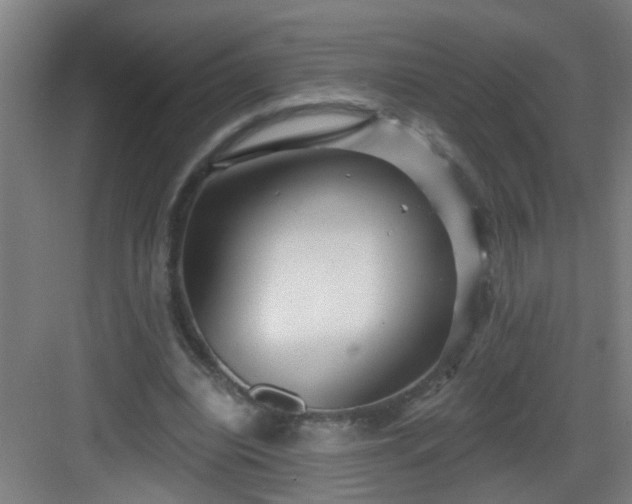 X0000082930440200702081545