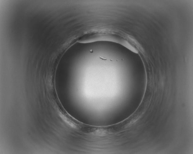 X0000082930441200702081545