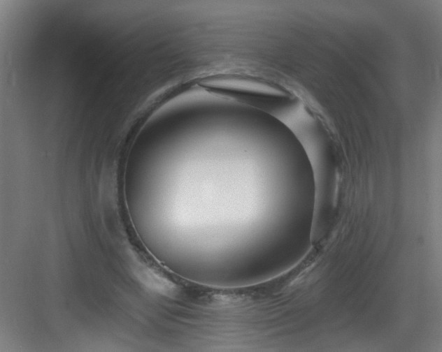 X0000082930442200702081545