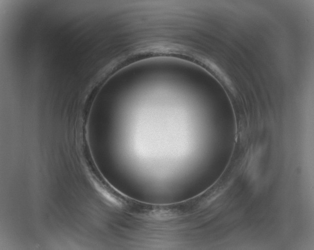 X0000082930445200702081545