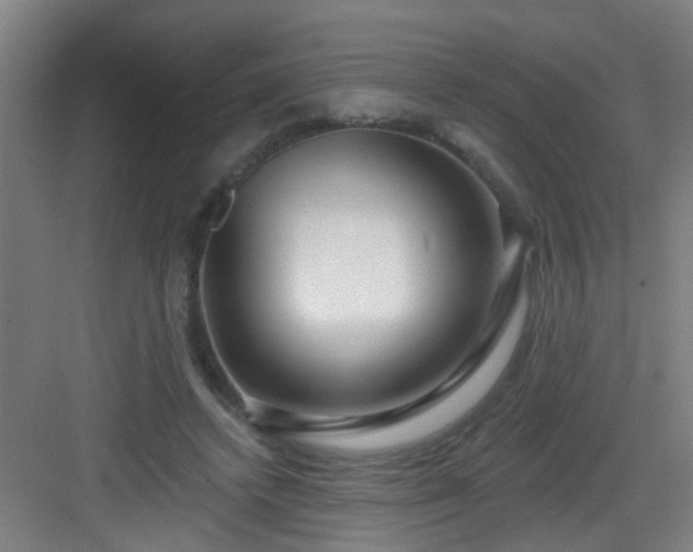 X0000082930448200702081545