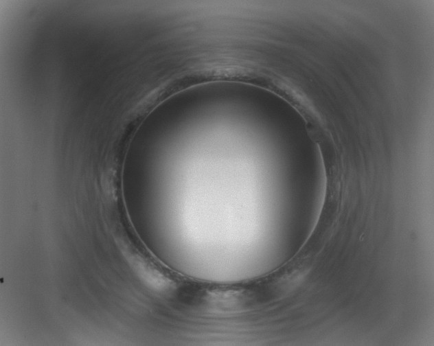 X0000082930450200702081545