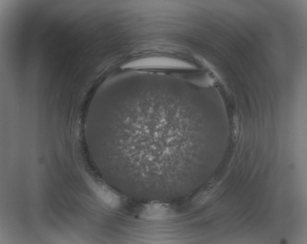 X0000082930451200702081545