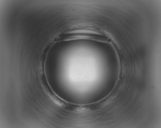 X0000082930453200702081545