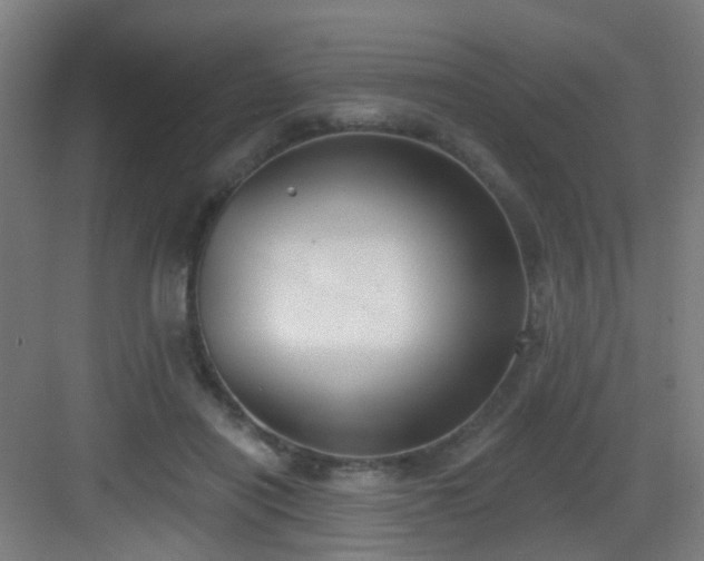 X0000082930454200702081545