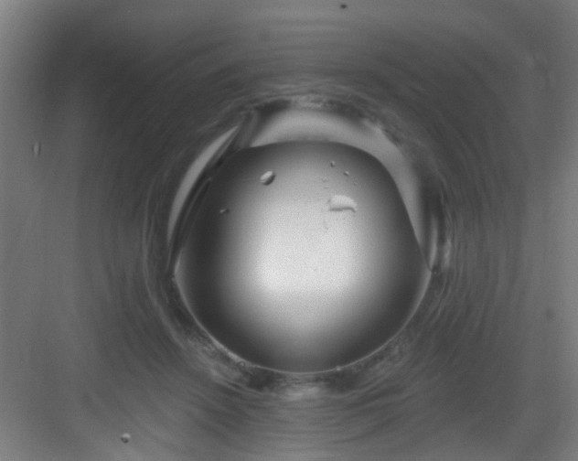 X0000082930456200702081545