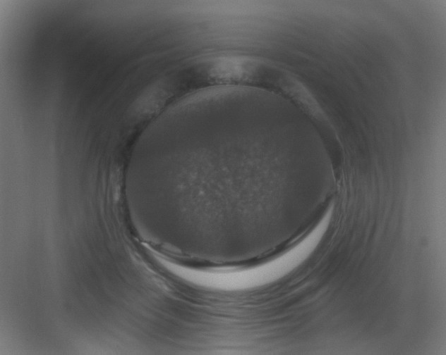 X0000082930458200702081545