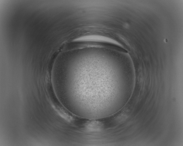 X0000082930459200702081545