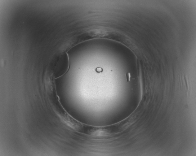 X0000082930460200702081545