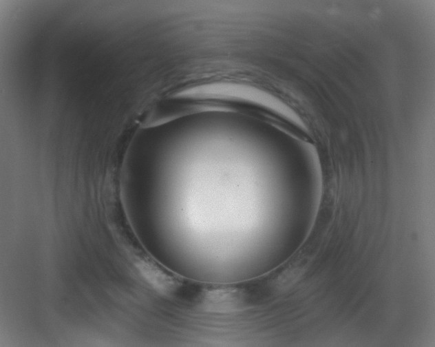 X0000082930461200702081545