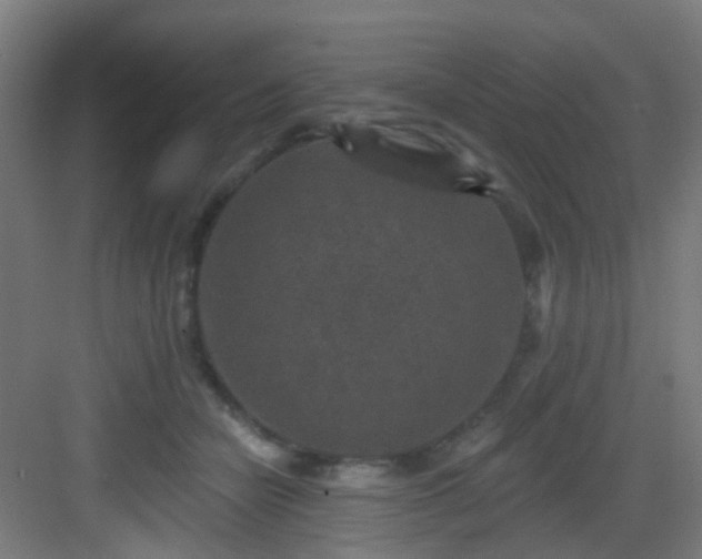 X0000082930462200702081545