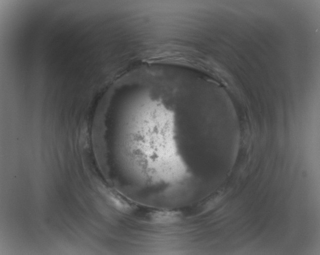 X0000082930465200702081545