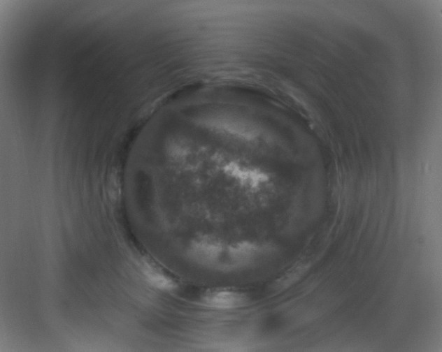 X0000082930467200702081545