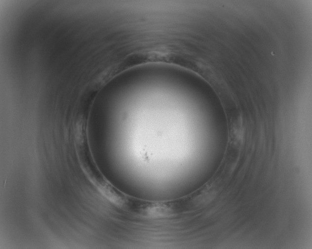 X0000082930468200702081545