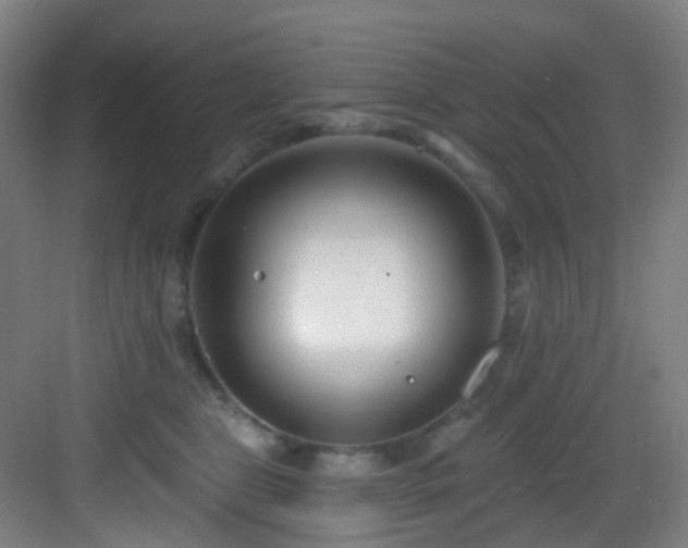 X0000082930469200702081545