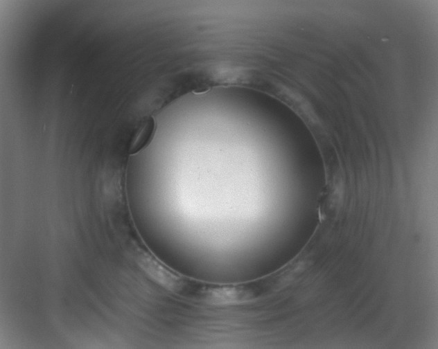 X0000082930473200702081545