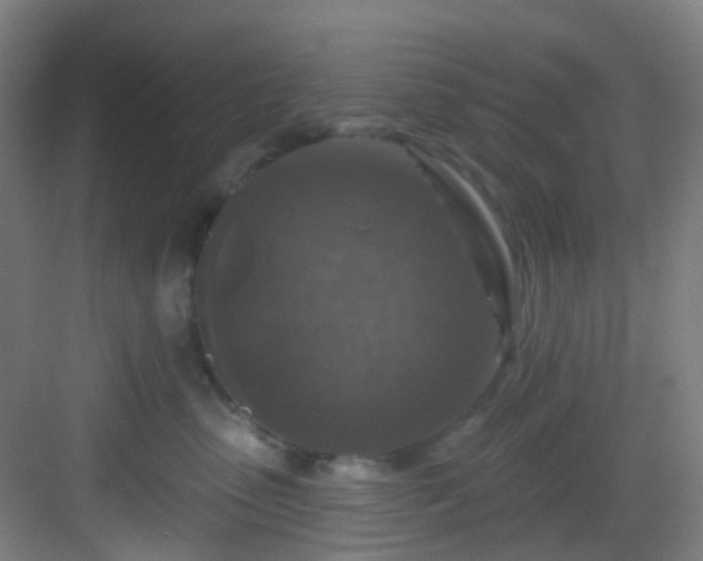 X0000082930475200702081546