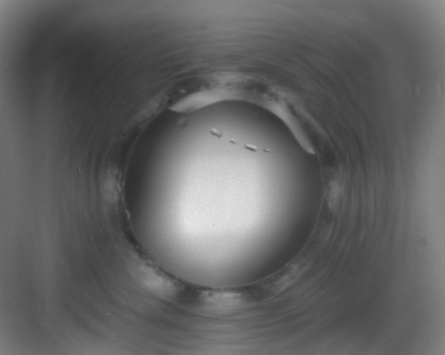 X0000082930476200702081546