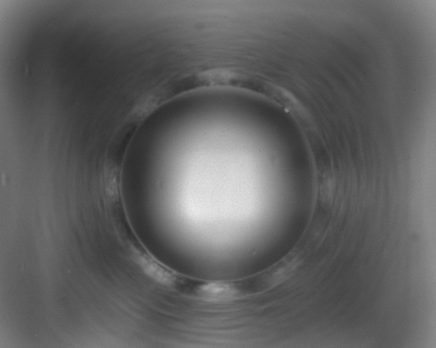 X0000082930477200702081546