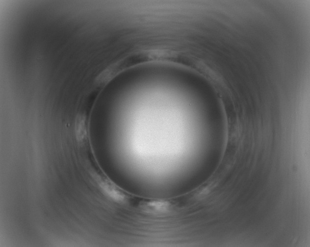 X0000082930478200702081546