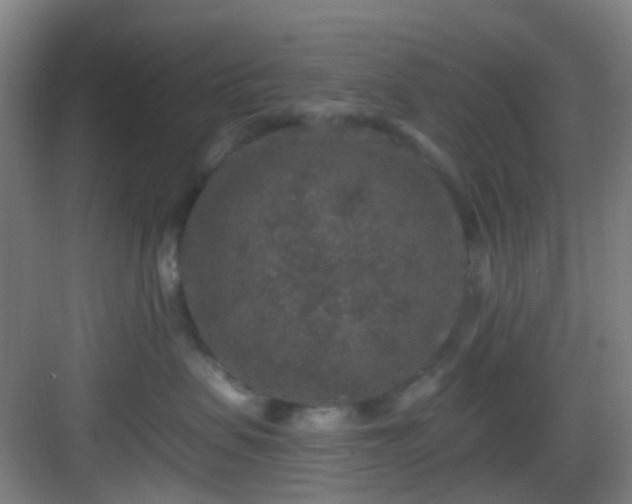 X0000082930479200702081546