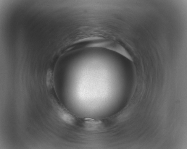 X0000082930480200702081546