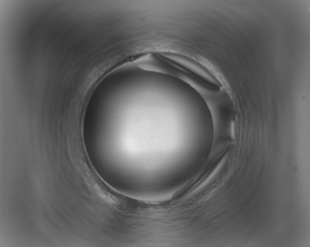 X0000082930481200702081545