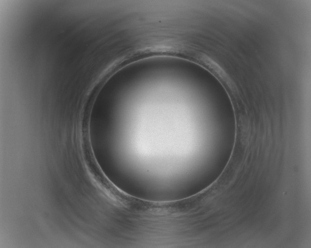 X0000082930482200702081545