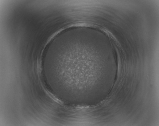 X0000082930484200702081545