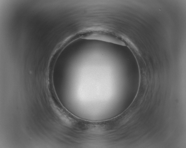 X0000082930486200702081545