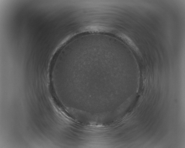 X0000082930488200702081545