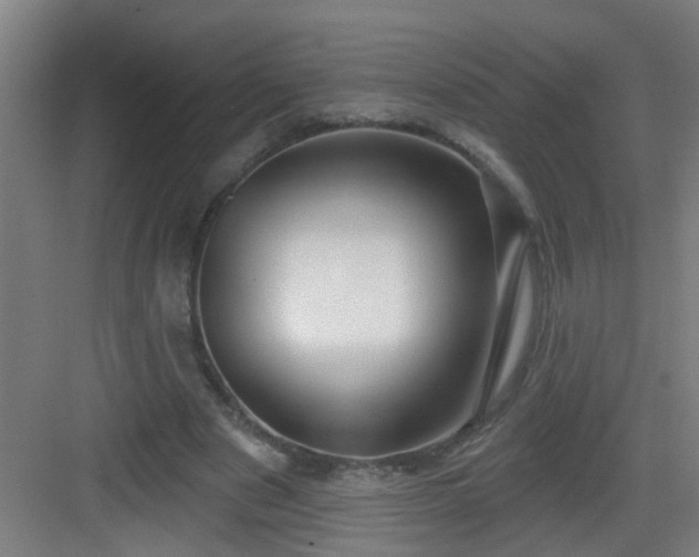 X0000082930489200702081545