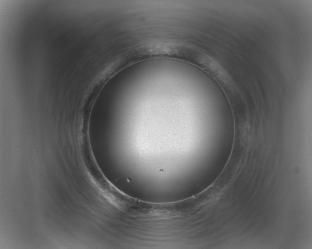 X0000082930490200702081545