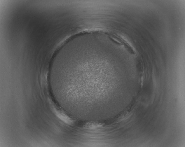 X0000082930491200702081545