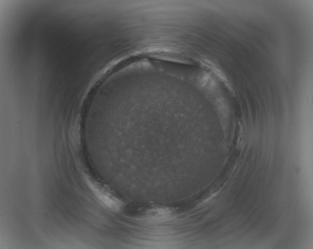 X0000082930492200702081544