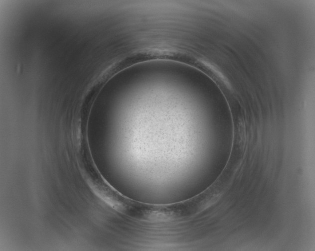 X0000082930494200702081544