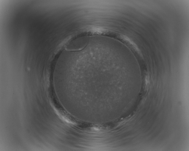 X0000082930496200702081544