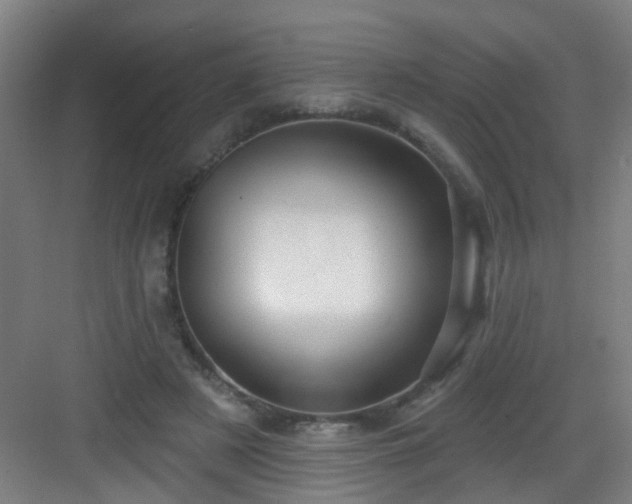 X0000082930497200702081544