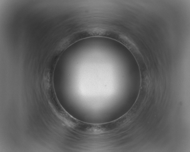 X0000082930498200702081544